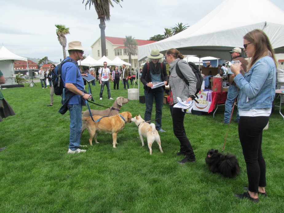  Dogs were definitely welcome at this event! The Summit even works with the  Berkeley Humane Society  to promote its Pints for Paws event in June. 