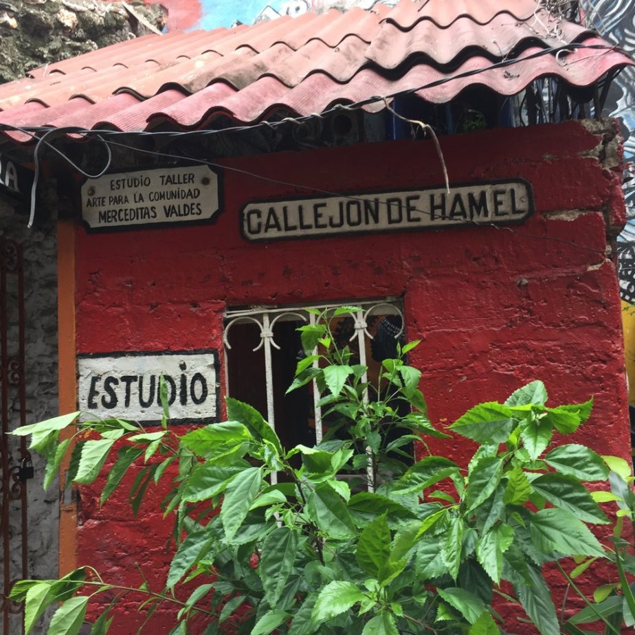   One of the stops during our classic car ride through Havana. This is an art studio and neighborhood that also practiced Santeria. Amazing!  